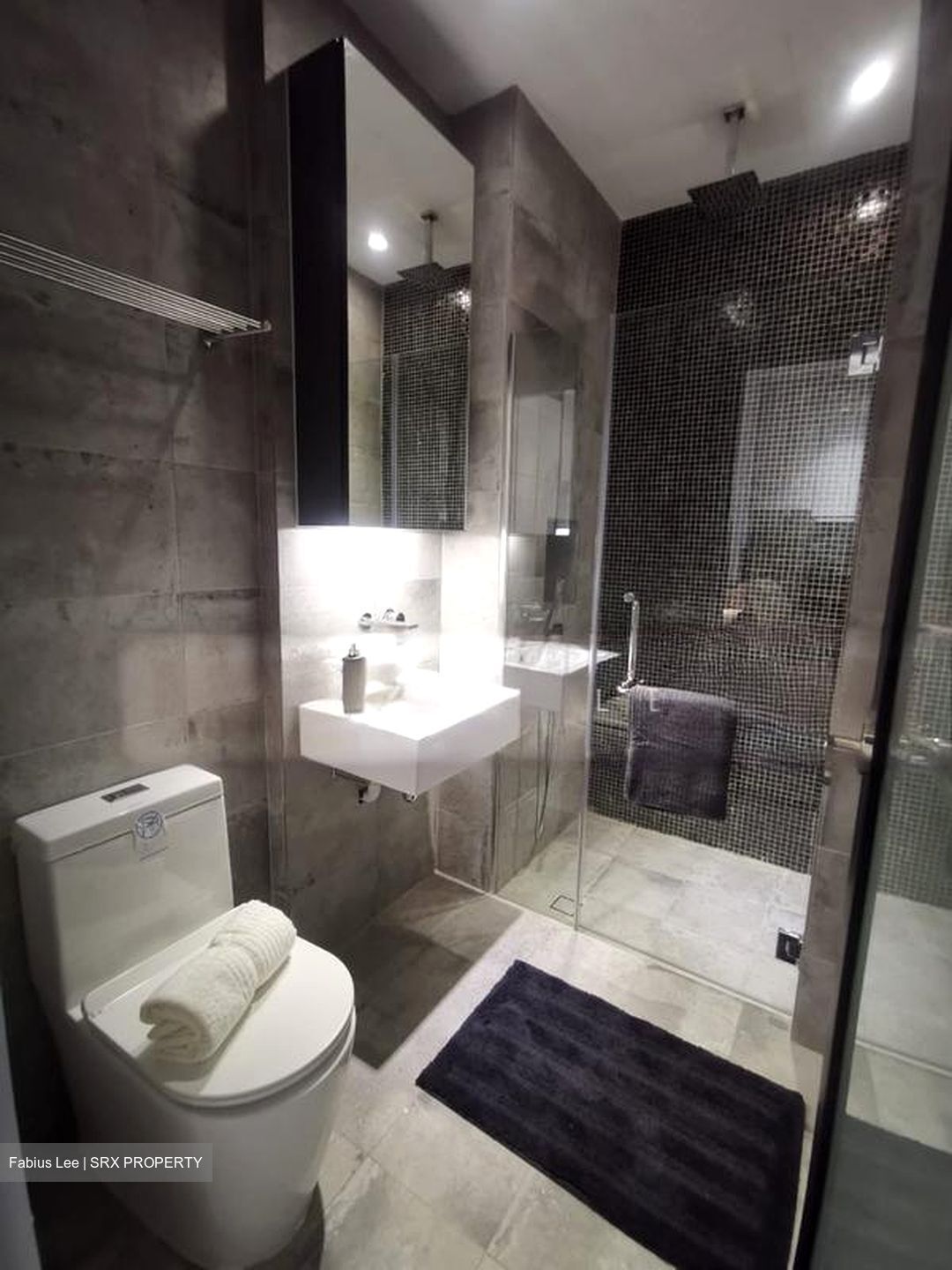 Sophia Road (D9), Condominium #553101081